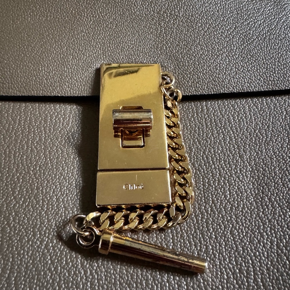 Chloe Brown Crossbody Bag with Gold Hardware - Picture 2 of 6